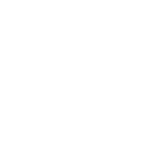 Dinamismo